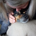 IMG-20230809-WA0002