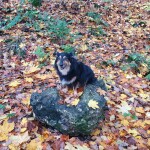 IMG-20231104-WA0034