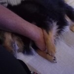 IMG-20231104-WA0036