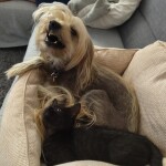 IMG-20240730-WA0006