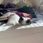 IMG-20230921-WA0044