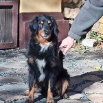 IMG-20231104-WA0007