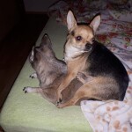 IMG-20231115-WA0016