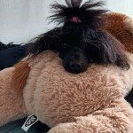IMG-20240126-WA0018