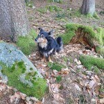IMG-20240128-WA0020
