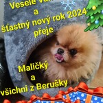 20231204_210359