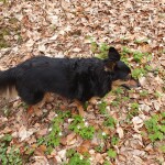 IMG-20240402-WA0027