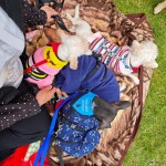 IMG-20240518-WA0058