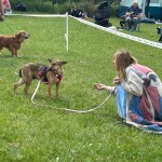 IMG-20240519-WA0038