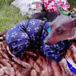 IMG-20240519-WA0062