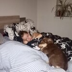 IMG-20250413-WA0002