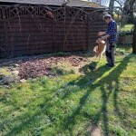 IMG-20250417-WA0016
