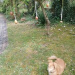 IMG-20250417-WA0028