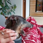 IMG-20250424-WA0002