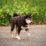 IMG-20250506-WA0029