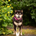 IMG-20250506-WA0030