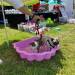 IMG-20250615-WA0056