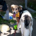 DSCF2423