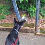 IMG-20250805-WA0013