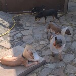 Screenshot_20250810_205620_Gallery