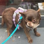 IMG-20251207-WA0050(1)