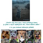 Screenshot_20260314_124552_Chrome