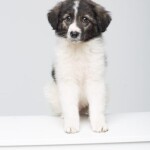 Screenshot_20260327_083822_WhatsApp