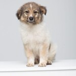 Screenshot_20260327_083826_WhatsApp