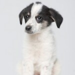 Screenshot_20260327_083829_WhatsApp(1)