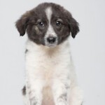 Screenshot_20260327_083833_WhatsApp(1)