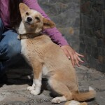 Screenshot_20260429_191037_WhatsApp