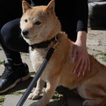 Screenshot_20260429_191130_WhatsApp