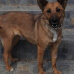 Screenshot_20260429_191326_WhatsApp