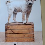 IMG-20260907-WA0010